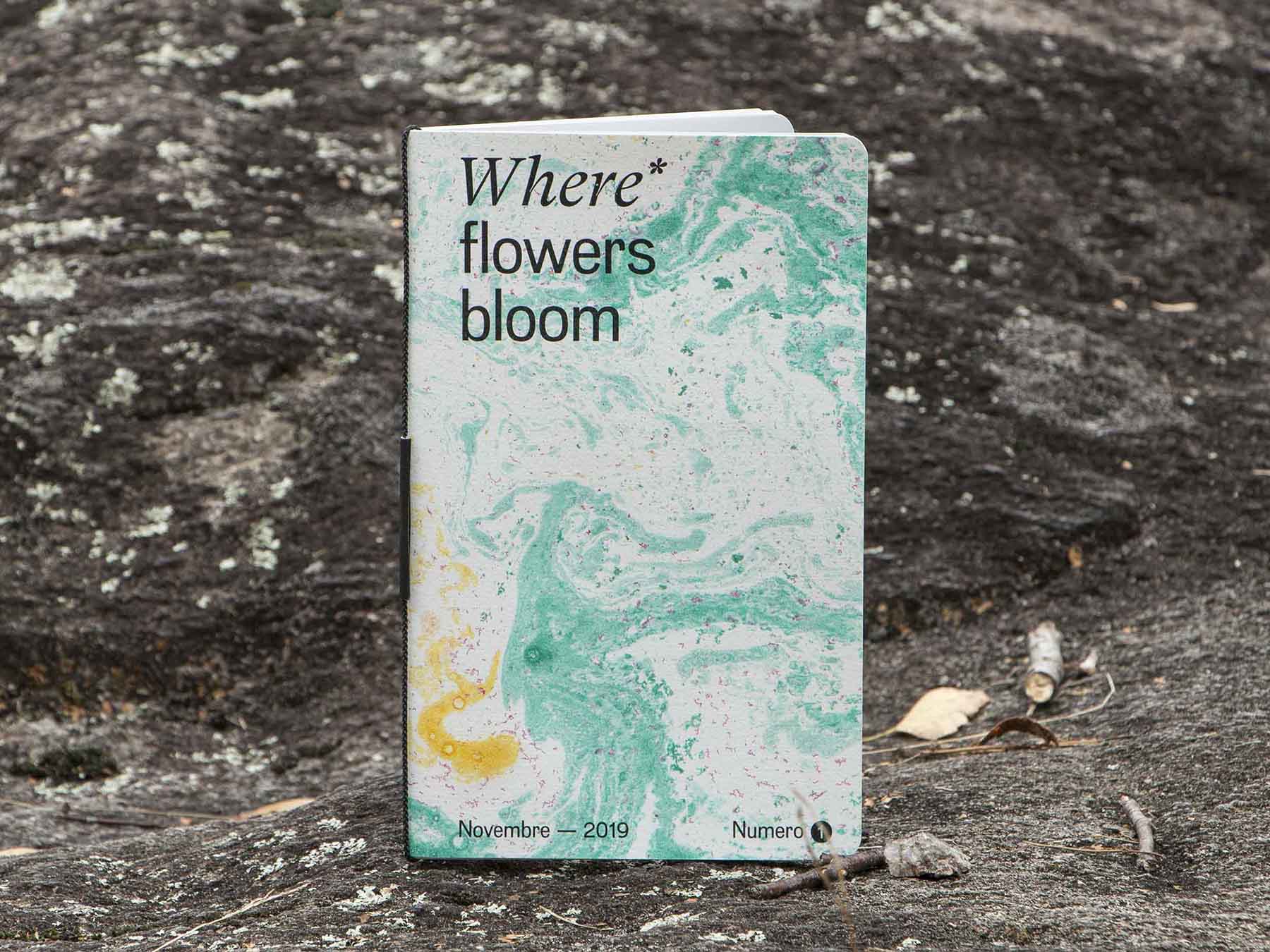 Where Flowers Bloom Kit primo numero uno della rivista